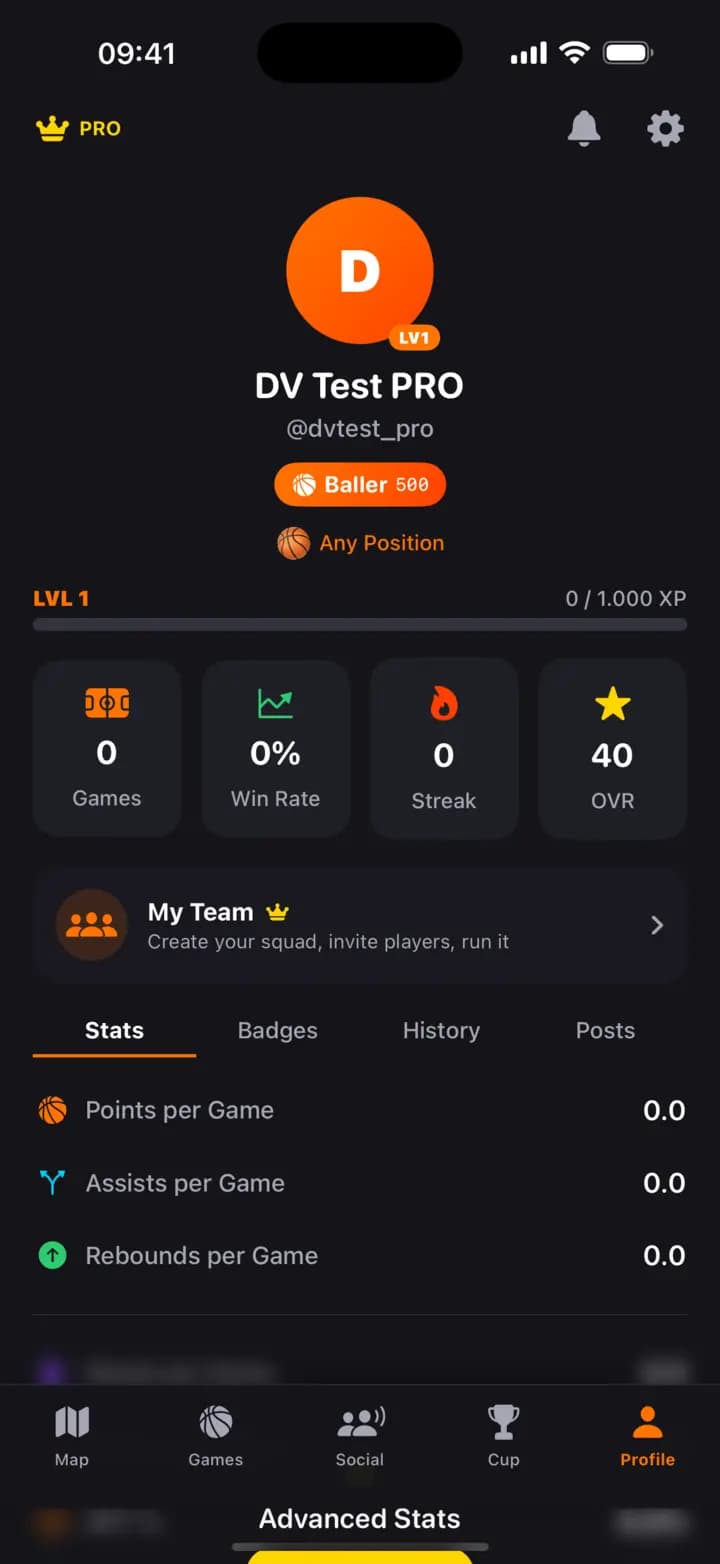 Profilo: Livello, statistiche, squadra e badge